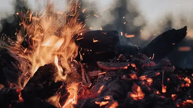 Mengenal Elemen Zodiak